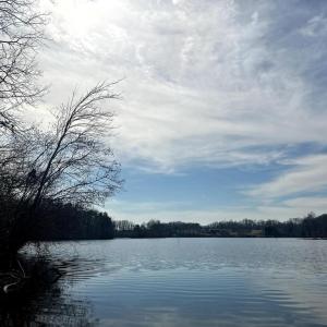 Photo #6 of 14928 DOVEY RD, SPOTSYLVANIA, VA 3.1 acres