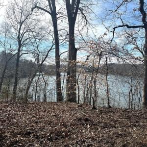 Photo #8 of 14928 DOVEY RD, SPOTSYLVANIA, VA 3.1 acres