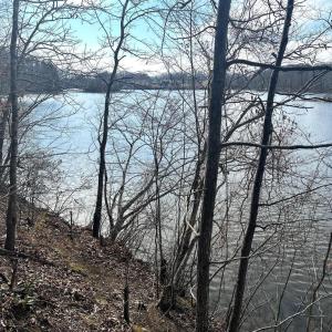 Photo #10 of 14928 DOVEY RD, SPOTSYLVANIA, VA 3.1 acres