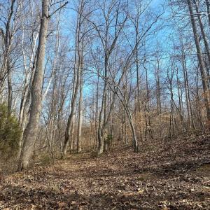 Photo #11 of 14928 DOVEY RD, SPOTSYLVANIA, VA 3.1 acres