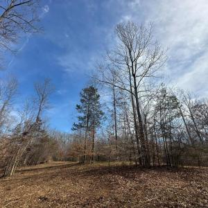Photo #13 of 14928 DOVEY RD, SPOTSYLVANIA, VA 3.1 acres