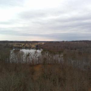 Photo #2 of DOVEY RD, SPOTSYLVANIA, VA 9.1 acres