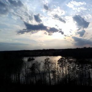 Photo #3 of DOVEY RD, SPOTSYLVANIA, VA 9.1 acres