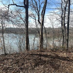 Photo #5 of DOVEY RD, SPOTSYLVANIA, VA 9.1 acres