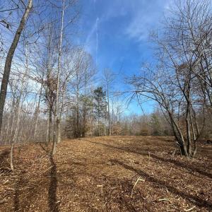 Photo #6 of DOVEY RD, SPOTSYLVANIA, VA 9.1 acres