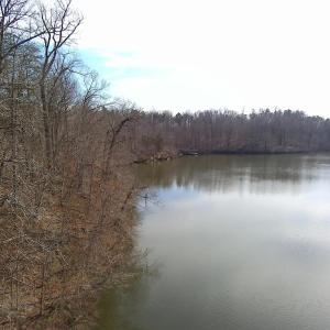Photo #4 of DOVEY RD, SPOTSYLVANIA, VA 12.2 acres