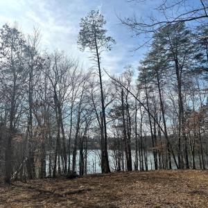 Photo #9 of DOVEY RD, SPOTSYLVANIA, VA 12.2 acres