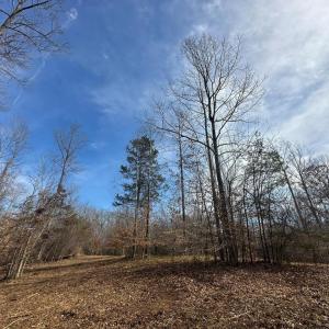 Photo #10 of DOVEY RD, SPOTSYLVANIA, VA 12.2 acres