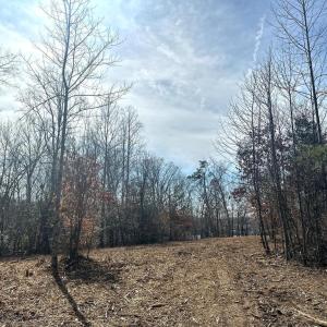 Photo #12 of DOVEY RD, SPOTSYLVANIA, VA 12.2 acres