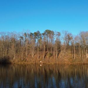 Photo #7 of DOVEY RD, SPOTSYLVANIA, VA 12.2 acres