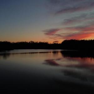 Photo #9 of DOVEY RD, SPOTSYLVANIA, VA 12.2 acres