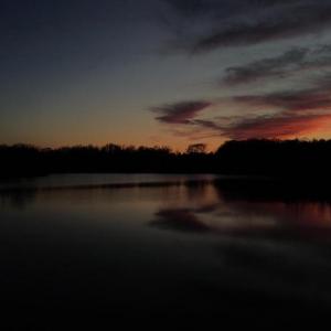 Photo #10 of DOVEY RD, SPOTSYLVANIA, VA 12.2 acres