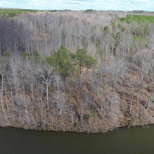 Photo #11 of DOVEY RD, SPOTSYLVANIA, VA 12.2 acres