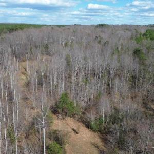 Photo #12 of DOVEY RD, SPOTSYLVANIA, VA 12.2 acres