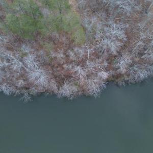 Photo #17 of DOVEY RD, SPOTSYLVANIA, VA 12.2 acres