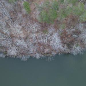 Photo #18 of DOVEY RD, SPOTSYLVANIA, VA 12.2 acres