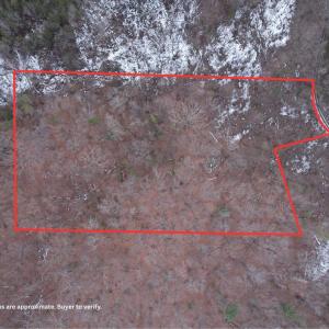 Photo #4 of 480 BEYLORS FERRY RD, RILEYVILLE, VA 4.9 acres