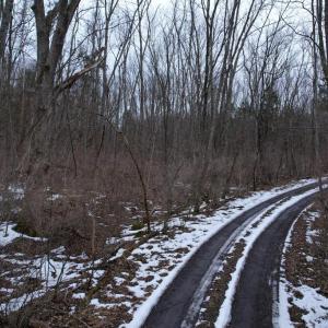 Photo #12 of 480 BEYLORS FERRY RD, RILEYVILLE, VA 4.9 acres