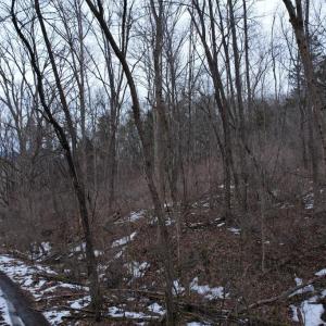 Photo #14 of 480 BEYLORS FERRY RD, RILEYVILLE, VA 4.9 acres