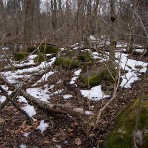 Photo #19 of 480 BEYLORS FERRY RD, RILEYVILLE, VA 4.9 acres