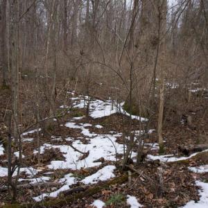 Photo #20 of 480 BEYLORS FERRY RD, RILEYVILLE, VA 4.9 acres