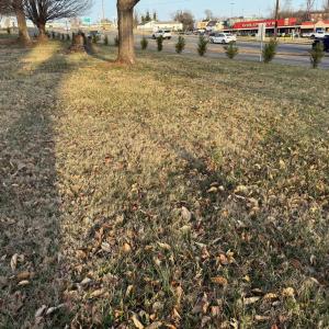 Photo #4 of MADISON RD, CULPEPER, VA 0.2 acres