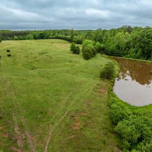 Photo #25 of 50 ELIZABETH, LOUISA, VA 28.5 acres