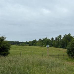 Photo #4 of 50 ELIZABETH, LOUISA, VA 28.5 acres