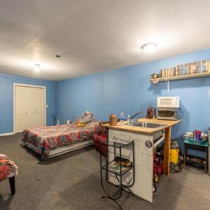 Photo #18 of 50 ELIZABETH, LOUISA, VA 28.5 acres