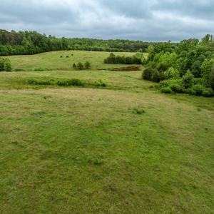 Photo #23 of 50 ELIZABETH, LOUISA, VA 28.5 acres