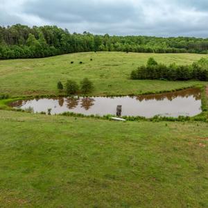 Photo #24 of 50 ELIZABETH, LOUISA, VA 28.5 acres