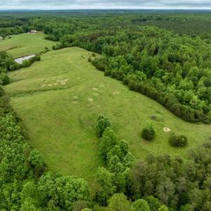 Photo #31 of 50 ELIZABETH, LOUISA, VA 28.5 acres