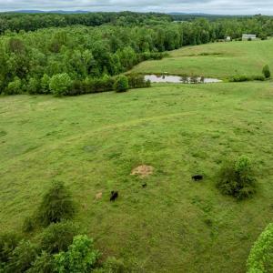 Photo #33 of 50 ELIZABETH, LOUISA, VA 28.5 acres