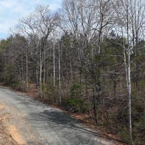 Photo #2 of CHIMNEY OAKS CT, MARSHALL, VA 10.0 acres