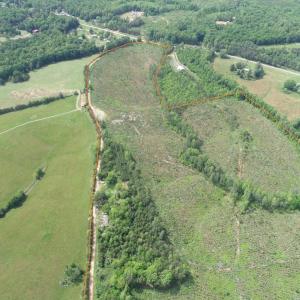 Photo #2 of WEST RIVER ROAD (TRACT: JR C.B. MOON-2), SCOTTSVILLE, VA 142.0 acres