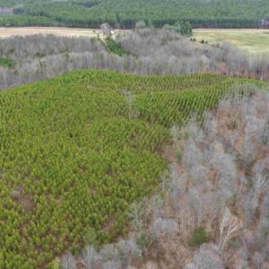 Photo #5 of WEST RIVER ROAD (TRACT: JR C.B. MOON-2), SCOTTSVILLE, VA 142.0 acres