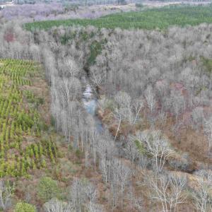 Photo #9 of WEST RIVER ROAD (TRACT: JR C.B. MOON-2), SCOTTSVILLE, VA 142.0 acres