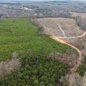 Photo #3 of WEST RIVER ROAD (TRACT: JR C.B. MOON-2), SCOTTSVILLE, VA 142.0 acres