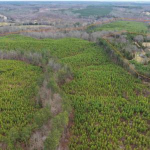 Photo #4 of WEST RIVER ROAD (TRACT: JR C.B. MOON-2), SCOTTSVILLE, VA 142.0 acres