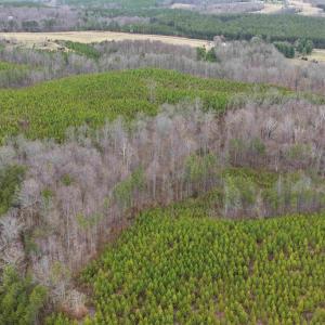 Photo #6 of WEST RIVER ROAD (TRACT: JR C.B. MOON-2), SCOTTSVILLE, VA 142.0 acres