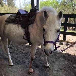 Photo #15 of 144 JEFFERSON AVE, LOCUST GROVE, VA