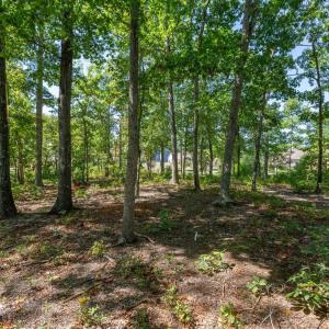 Photo #11 of 10821 PINNACLE DR, SPOTSYLVANIA, VA 1.4 acres