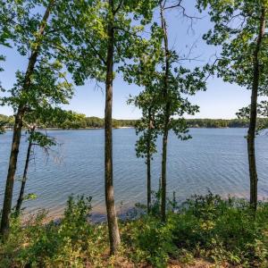 Photo #3 of 10821 PINNACLE DR, SPOTSYLVANIA, VA 1.4 acres