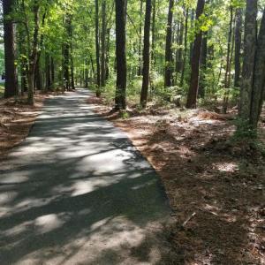 Photo #26 of 10821 PINNACLE DR, SPOTSYLVANIA, VA 1.4 acres