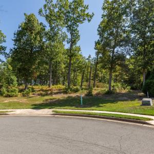 Photo #12 of 10821 PINNACLE DR, SPOTSYLVANIA, VA 1.4 acres