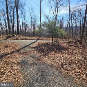 Photo #2 of 2245 RED BIRD DR, STANARDSVILLE, VA 31.9 acres