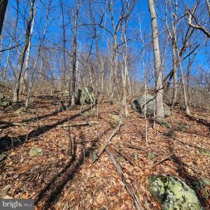 Photo #10 of 2245 RED BIRD DR, STANARDSVILLE, VA 31.9 acres