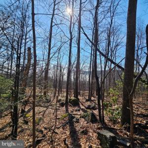 Photo #17 of 2245 RED BIRD DR, STANARDSVILLE, VA 31.9 acres