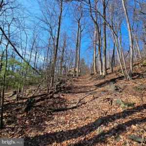 Photo #4 of 2245 RED BIRD DR, STANARDSVILLE, VA 31.9 acres