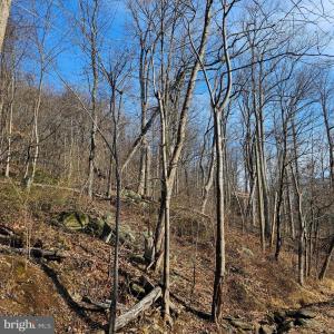 Photo #6 of 2245 RED BIRD DR, STANARDSVILLE, VA 31.9 acres